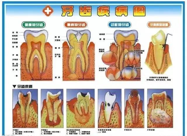 补硒过量多久中毒