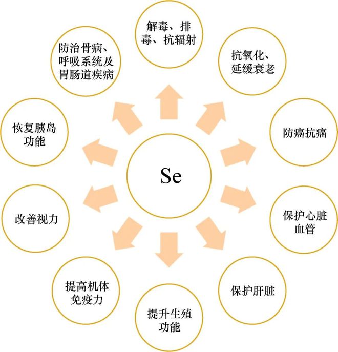 环境补硒最好方法