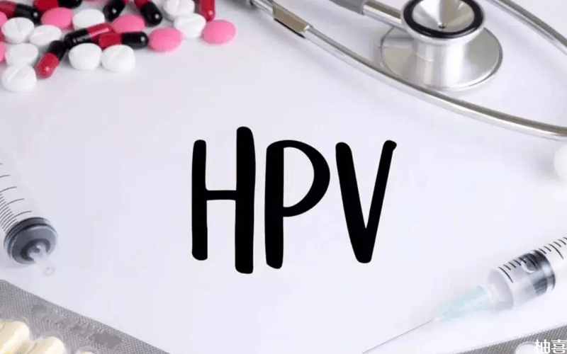 hpv示意图