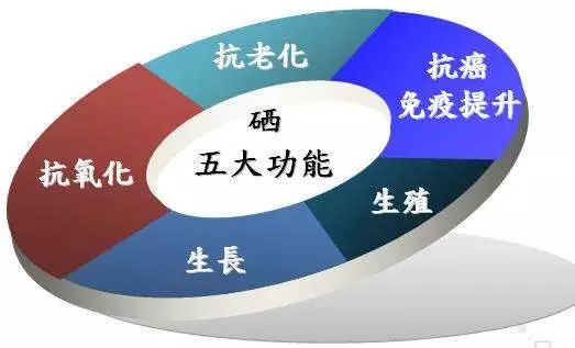 皮肤瘙痒可以补硒