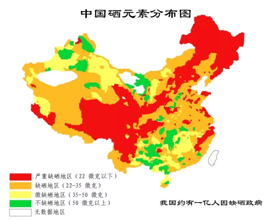 化疗补硒元素药物