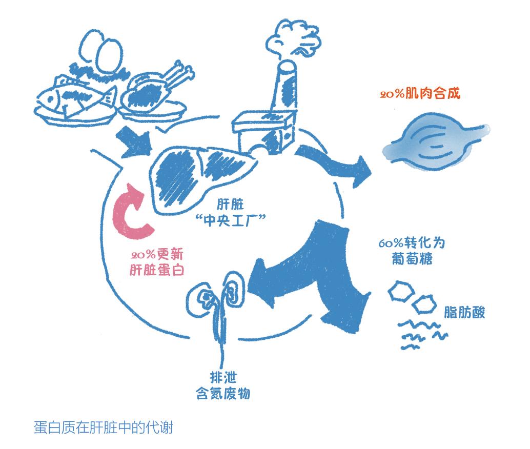 乳癌患者怎么补硒