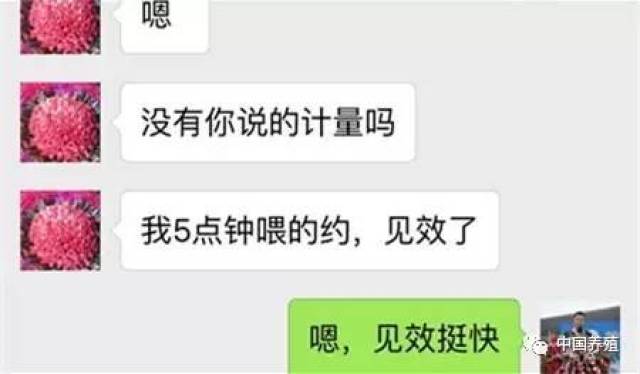 母猪怎么快速补硒