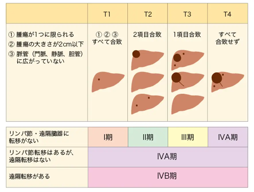 肝癌补硒对肝危害