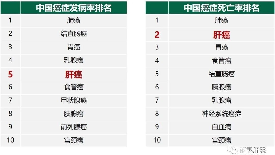 肝癌补硒对肝危害
