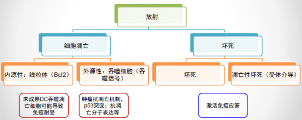 大剂量补硒抗肿瘤