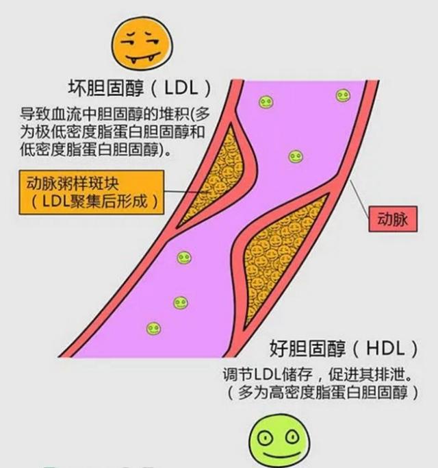 冠心病补硒量多少