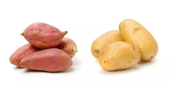 哪种菜是补硒食物