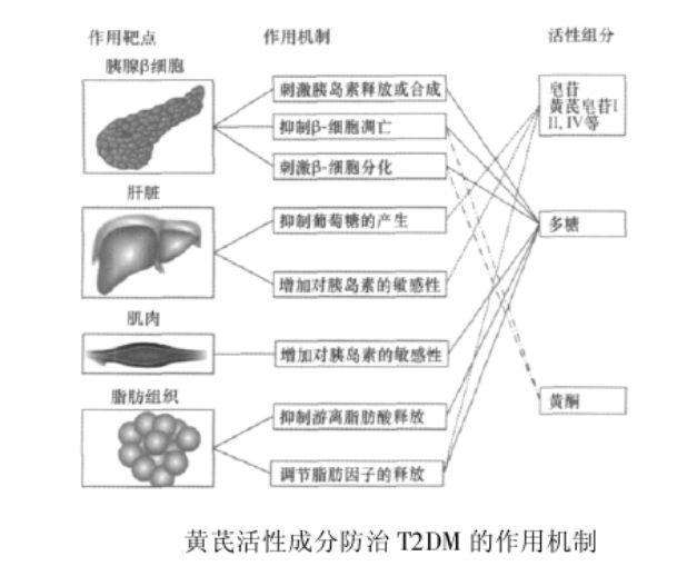 补硒能治疗怕冷吗
