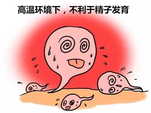锌硒备孕期补多少