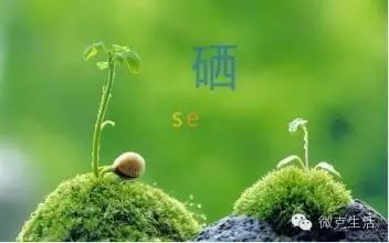 补硒可以治失眠吗