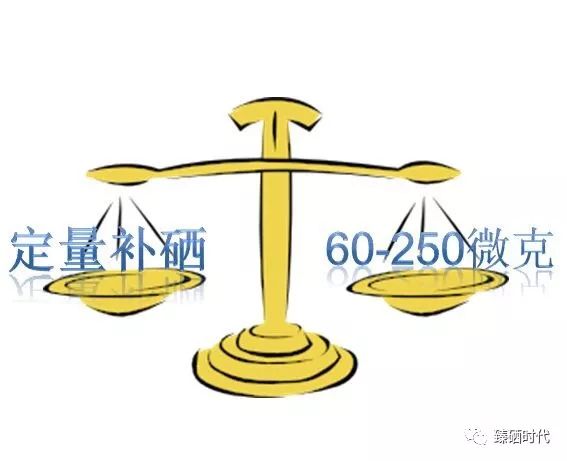 硒元素能天天补吗