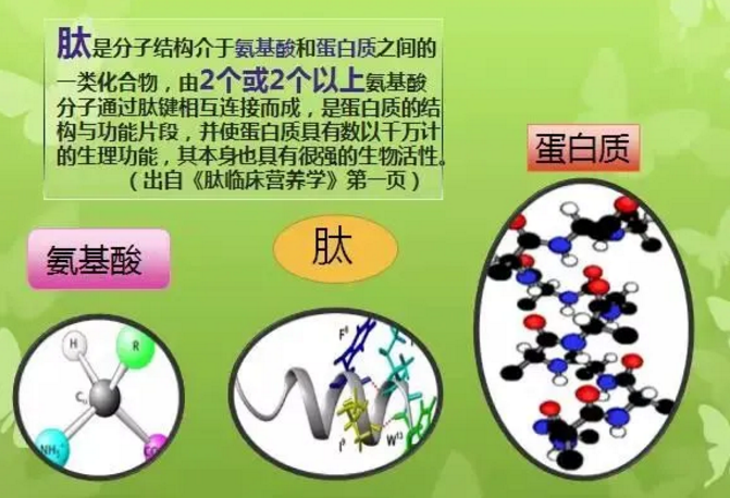 犊牛什么时间补硒