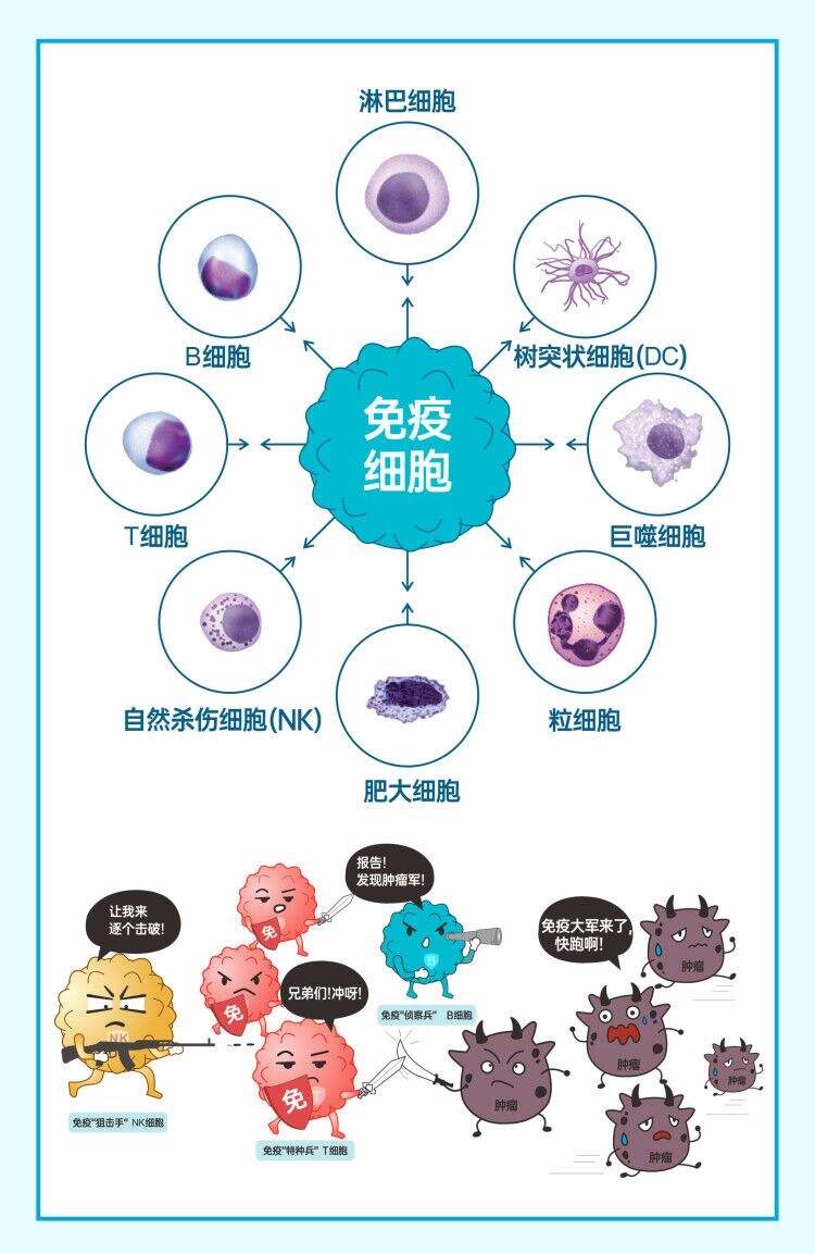 犊牛什么时间补硒