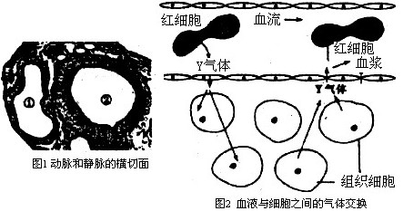 血小板低补什么硒