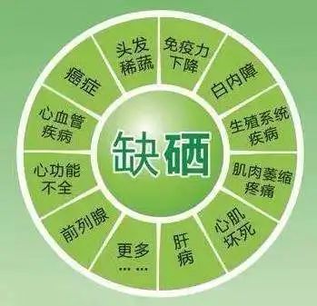 什么食物对补硒好
