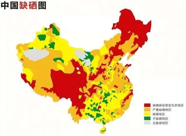 什么食物对补硒好