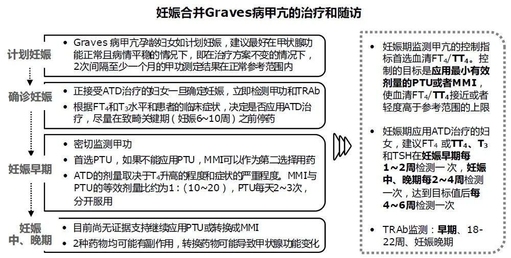 甲减补硒推荐药物