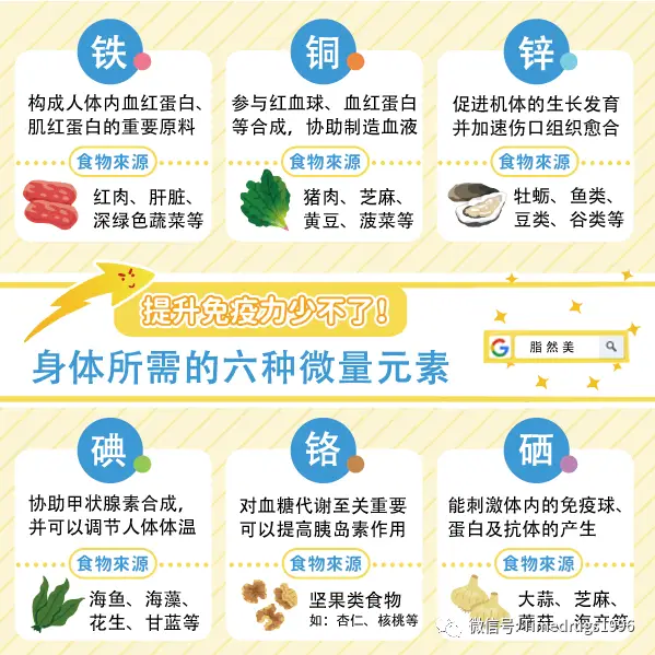 吃什么坚果能补硒