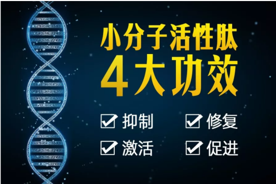 吃什么坚果能补硒