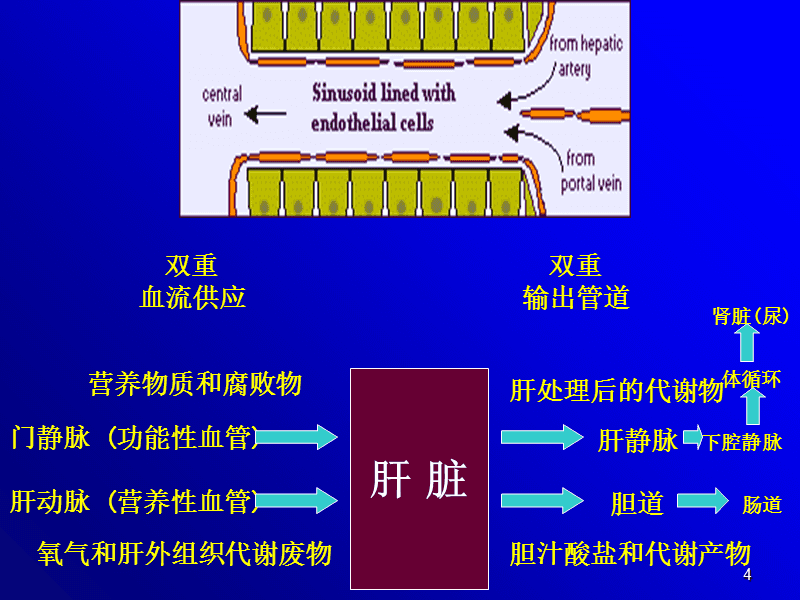 补硒的豆浆怎样做