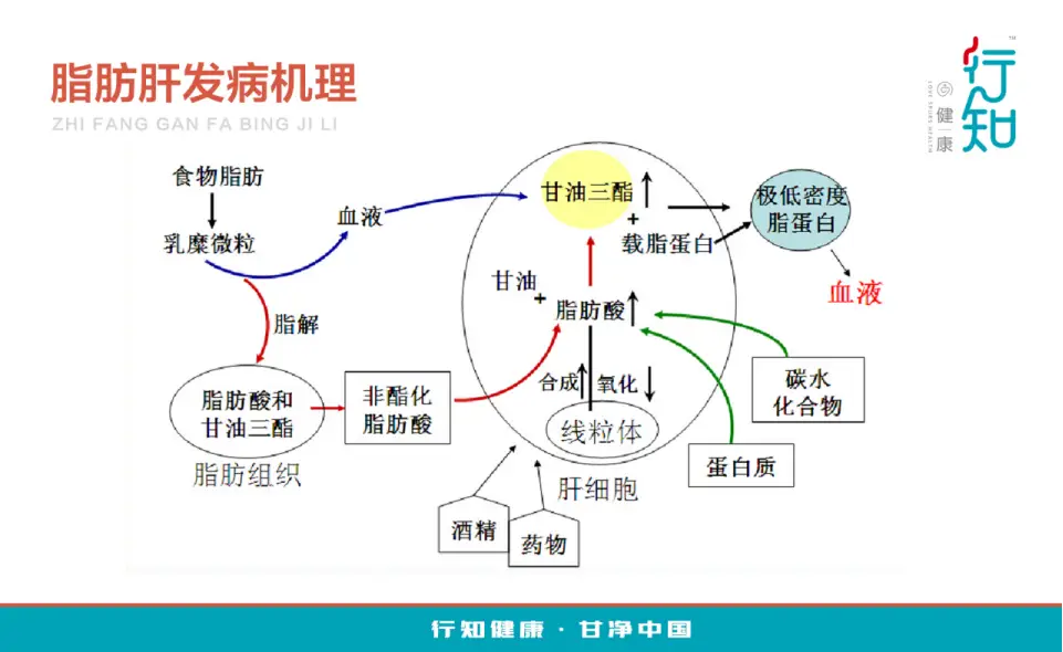 补硒的豆浆怎样做