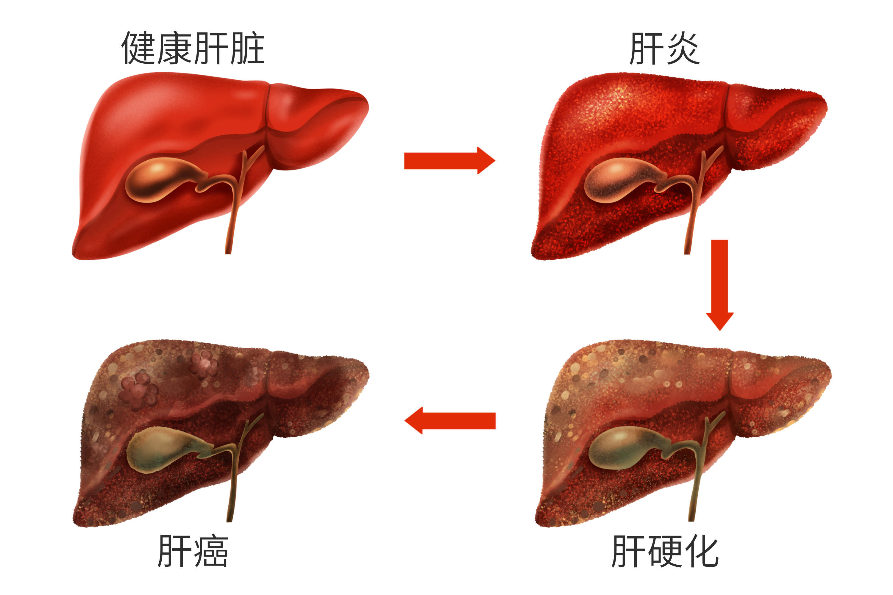 补硒的豆浆怎样做