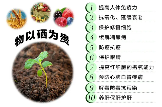 哪些食物是补硒的