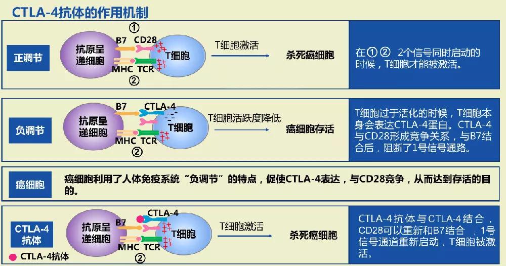肺结节患者补硒吗
