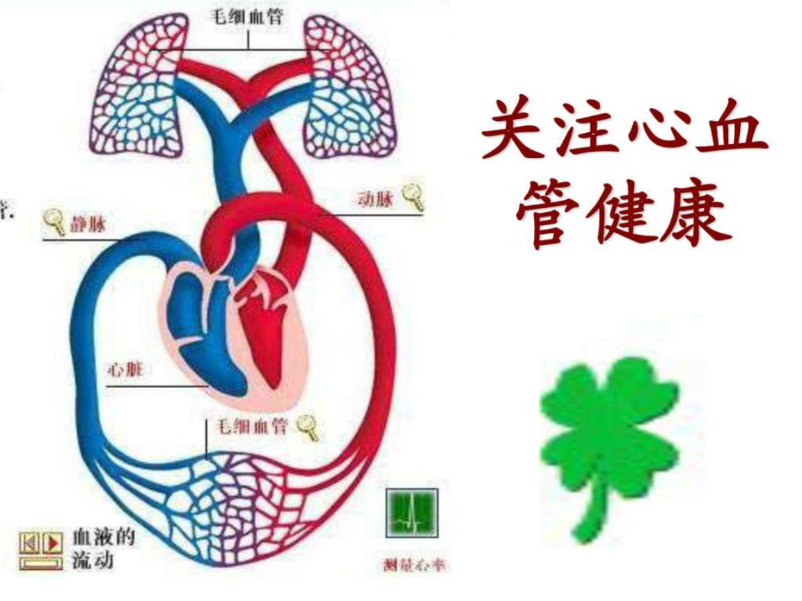血粘稠可以补硒吗