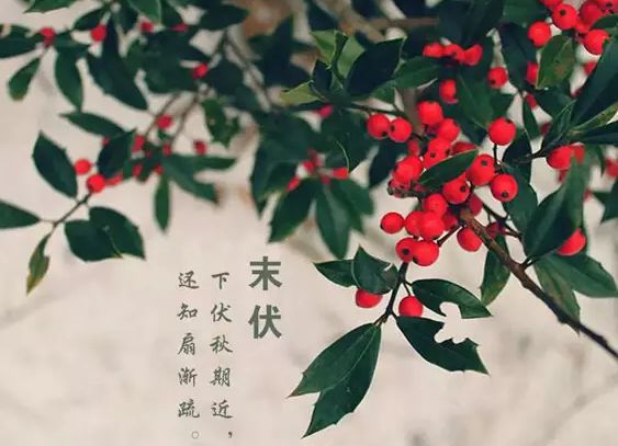 做艾灸补硒元素吗