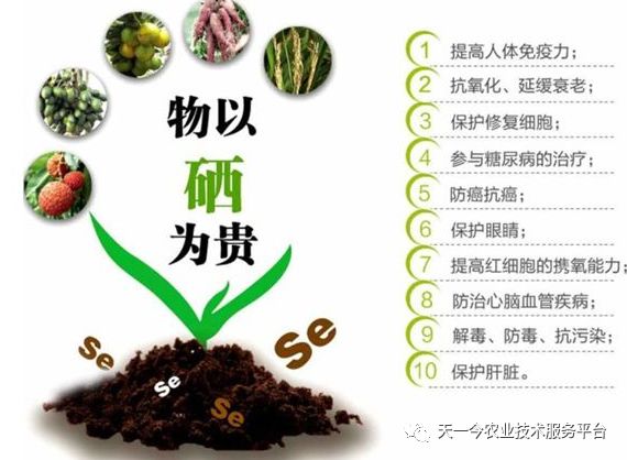 人今什么可以补硒