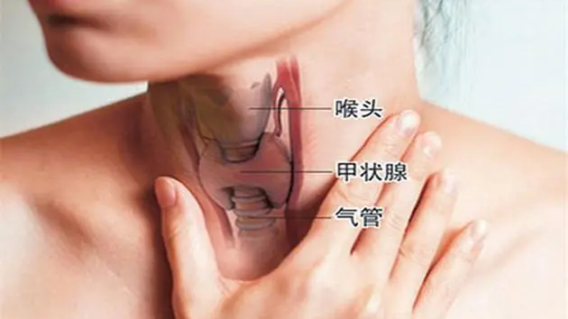 甲亢有必要补硒吗