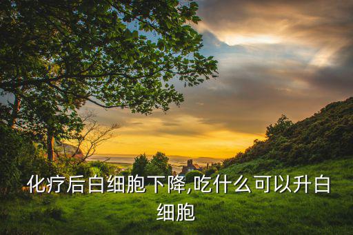  化疗后白细胞下降,吃什么可以升白细胞