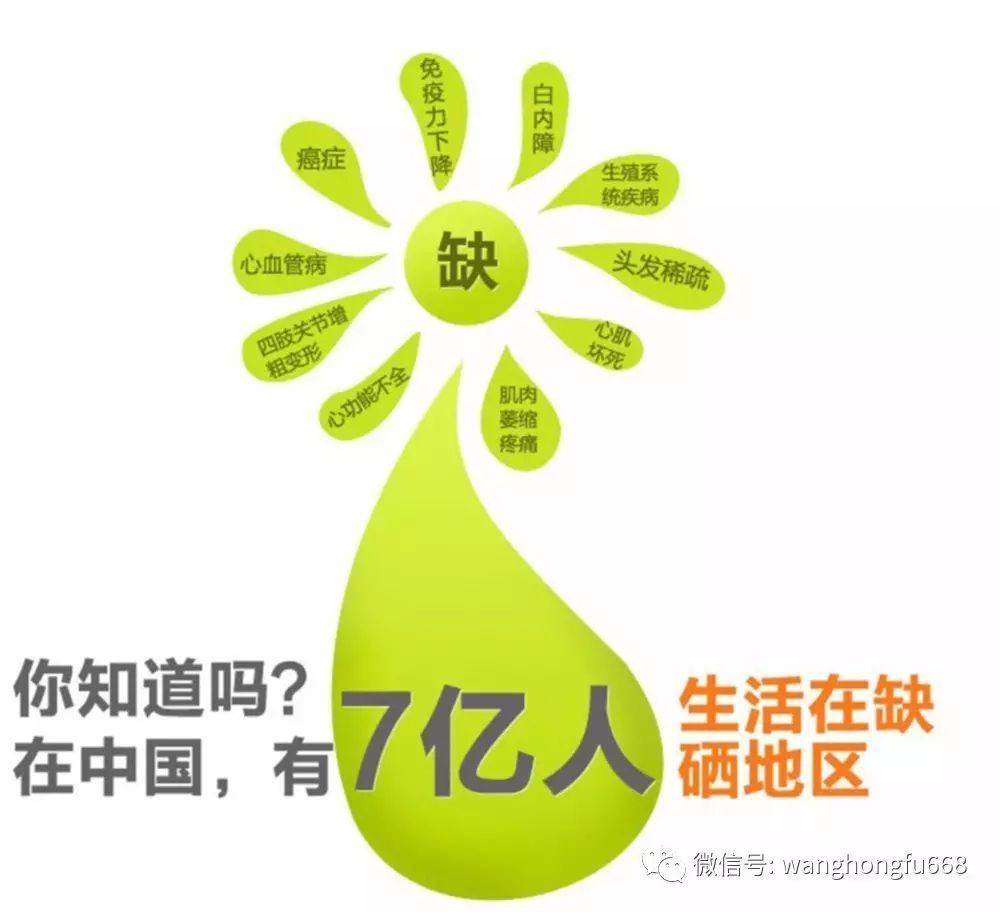 补硒和补钙的关系