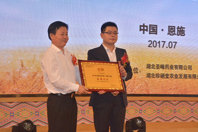 湖北制药厂 补硒