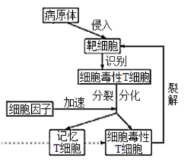 补硒对癌胚胎抗原