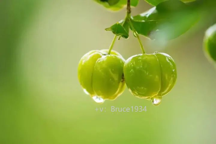 补硒能治疗肠炎吗