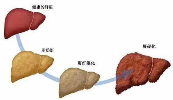 肝脏需不需要补硒