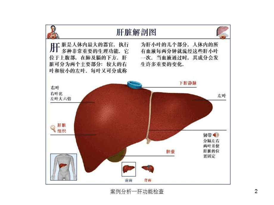 肝脏需不需要补硒