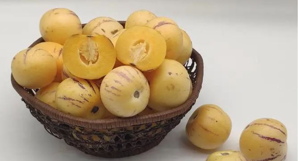 缺硒吃什么药能补