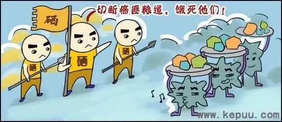 补硒对前列腺肿瘤