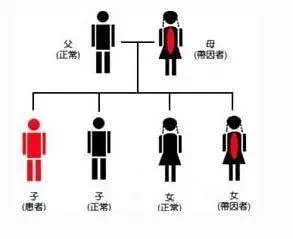蚕豆病可以补硒嘛