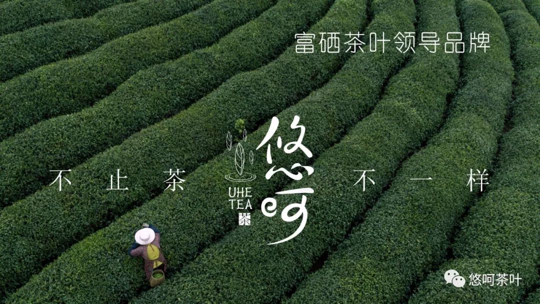 长期补硒会伤肝吗