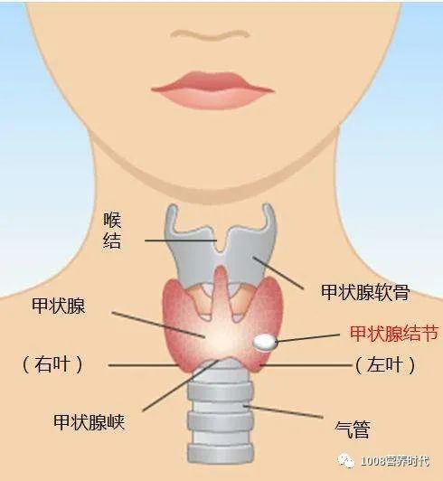 甲亢能补硒和镁吗