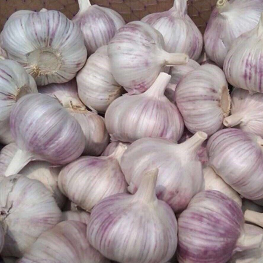 常吃大蒜能补硒吗