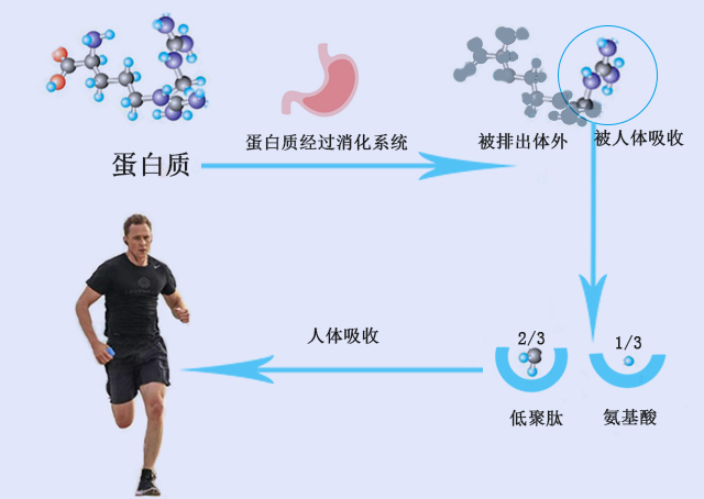 小孩儿补硒的作用