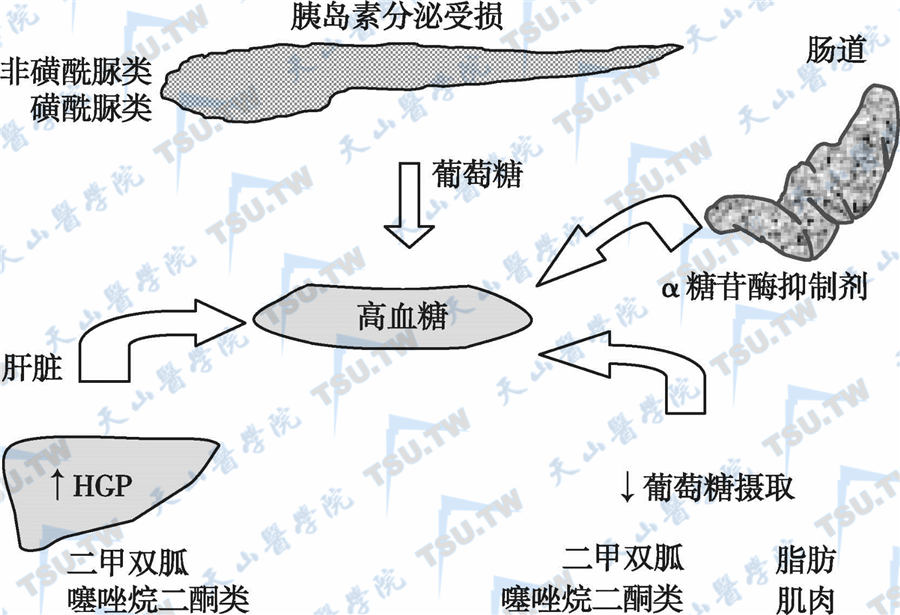 补硒真能降血糖吗
