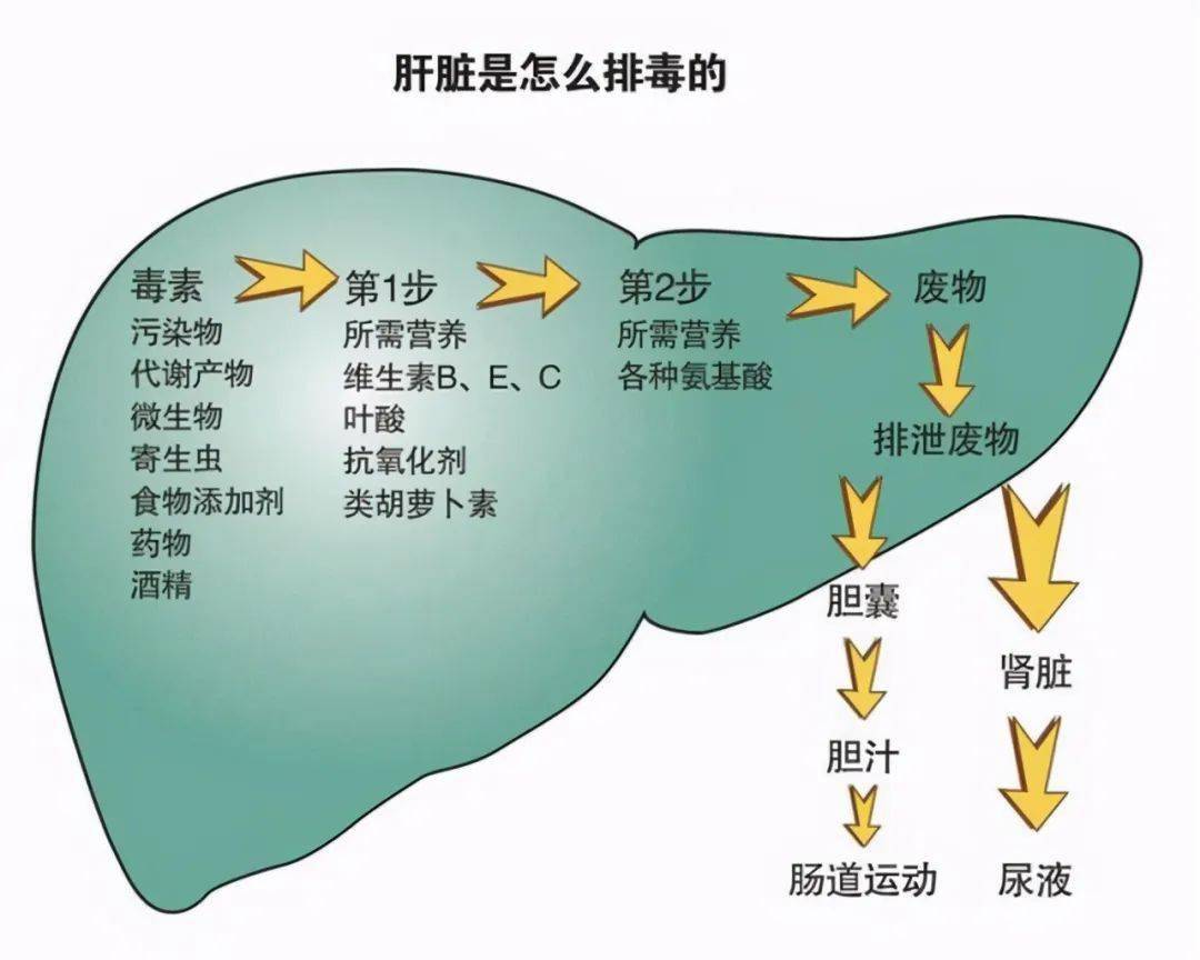 补硒真能降血糖吗