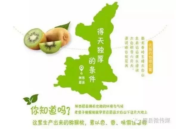 猕猴桃补硒的食物